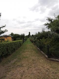 ДАЧА-dscn3380.jpg