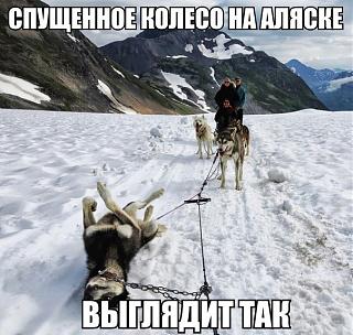 Пикчи на автомобильную тему-.jpg