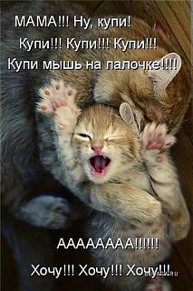 Братья наши меньшие-geti-mage.jpg