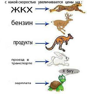 Повышатель настроения-ceny.jpg