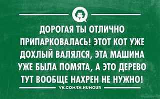 Повышатель настроения-atca5z69ryi.jpg