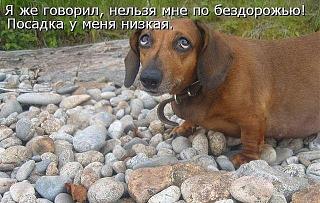 Пикчи на автомобильную тему-2.jpeg