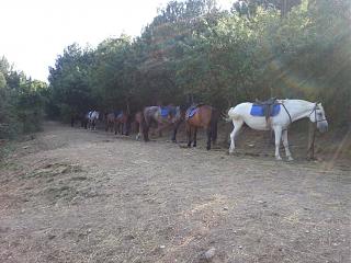 поездка в Крым-20130828_170750.jpg