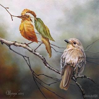 Просто интересно...-oleg-shuplyak-09.jpg