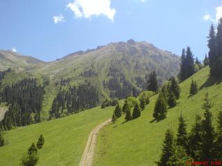 Красивые фотографии сделанные членами клуба-dsc00453.jpg