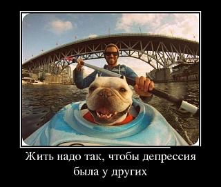 Братья наши меньшие-untitled1.jpg
