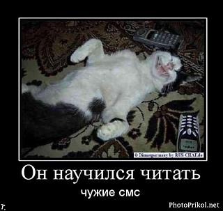 Братья наши меньшие-untitled2.jpg