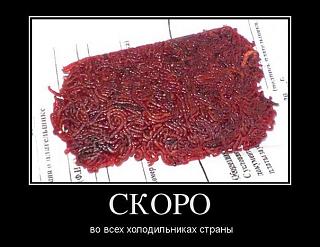 Рыбалка, новости с водоёмов.-an4dtxi04ho.jpg