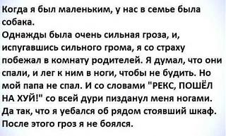 Повышатель настроения-rex.jpg