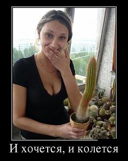 Повышатель настроения-demotivq-2-.jpg