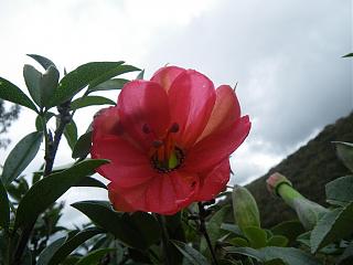 Красивые фотографии сделанные членами клуба-imgp2215.jpg