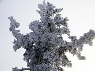 Красивые фотографии сделанные членами клуба-100_0181.jpg