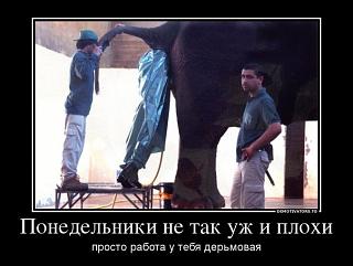 Повышатель настроения-x5j9jtb2xbm.jpg