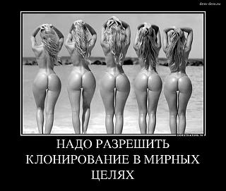 Повышатель настроения-getimage.jpeg