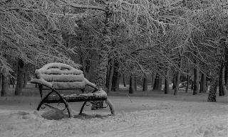 Красивые фотографии сделанные членами клуба-_mg_1773-2-.jpg