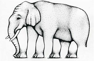 Просто интересно...-4908905-r3l8t8d-630-elephant.preview.jpg