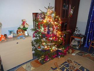 Новогодняя елка-dsc03998.jpg