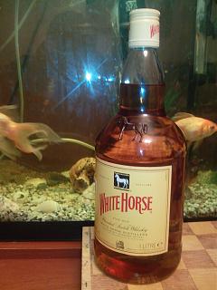 Виски-img_20131220_205620.jpg