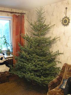 Новогодняя елка-img_0790.jpg