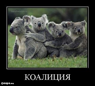 Братья наши меньшие-demotivatory410.jpg