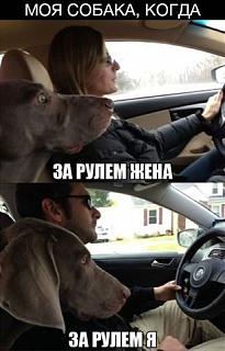 Пикчи на автомобильную тему-getimage.jpeg