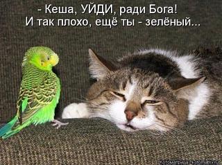 Анекдоты на отвлеченные темы-1390973281_657f383015e976ec14a97e5b486_prev.jpg