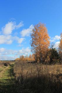 Красивые фотографии сделанные членами клуба-img_3065.jpg