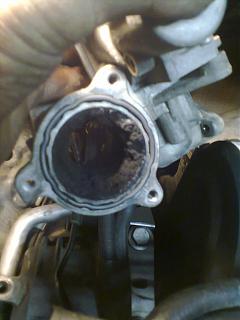 Что хорошего произошло за день?-foto0322.jpg