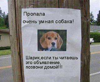 Повышатель настроения-bglogtzceaas3zd.jpg
