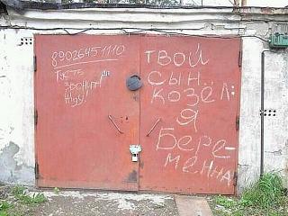 Повышатель настроения-bgx78ujcqaeqc-p.jpg