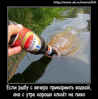 Повышатель настроения-getimage.jpeg