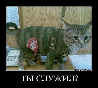 Повышатель настроения-704a5ccfbea1.jpg