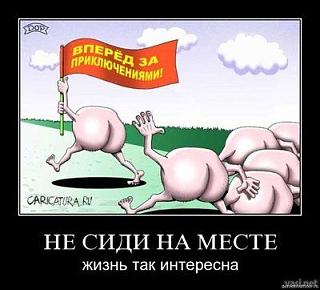 Политика-213.jpg