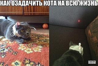 Братья наши меньшие-euvtswwp_am.jpg