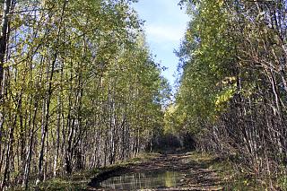 вылазки по Ленинградской области, но на Кайроне-img_9547.jpg