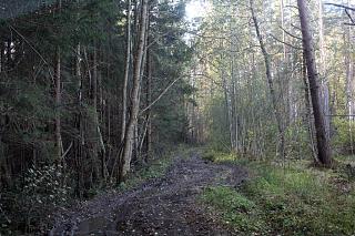 вылазки по Ленинградской области, но на Кайроне-img_9548.jpg