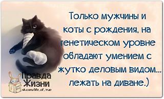 Повышатель настроения-cpxorwz0zsa.jpg