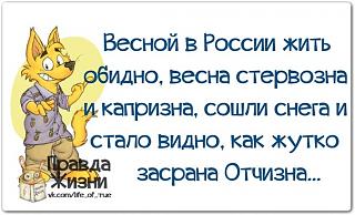 Ну и погодка!-ozysnfkdngy.jpg