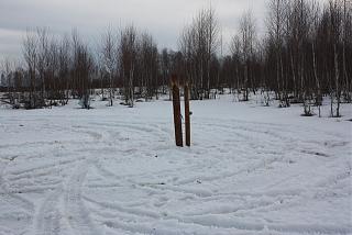 Что хорошего произошло за день?-23-3.jpg