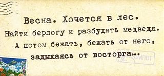 Повышатель настроения-vidjc9ekloy.jpg