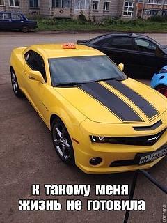 Повышатель настроения-jhgjugjh.jpg