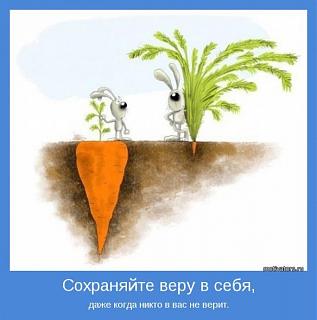 Повышатель настроения-1348462a.jpg