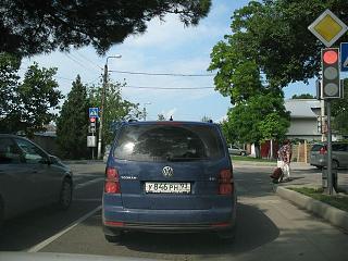 Встретил на дороге...-img_6017-1.jpg