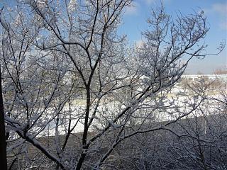 Ну и погодка!-dsc04313.jpg