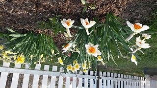 ДАЧА-20140427_191008.jpg