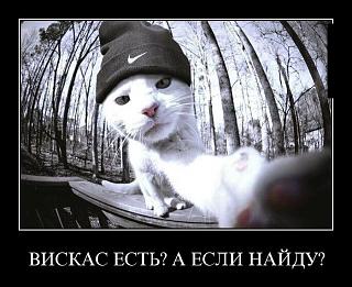 Повышатель настроения-demotivk.jpg