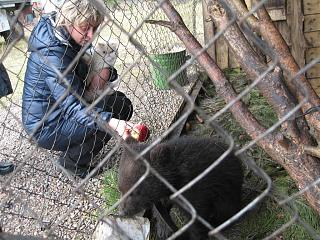 Что хорошего произошло за день?-img_5089.jpg