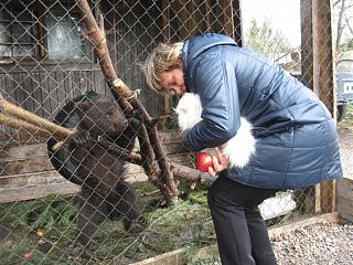 Что хорошего произошло за день?-img_5091.jpg