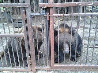 Что хорошего произошло за день?-20130920_152641.jpg