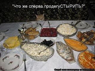 Повышатель настроения-kotomatrix_01.jpg